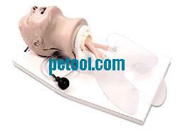 ȲͷģAirway Larry Airway Management Trainer with Ŵ