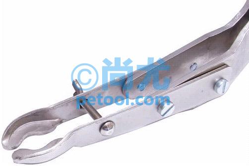 SKU:00248022,Ӣ/ѹƬ