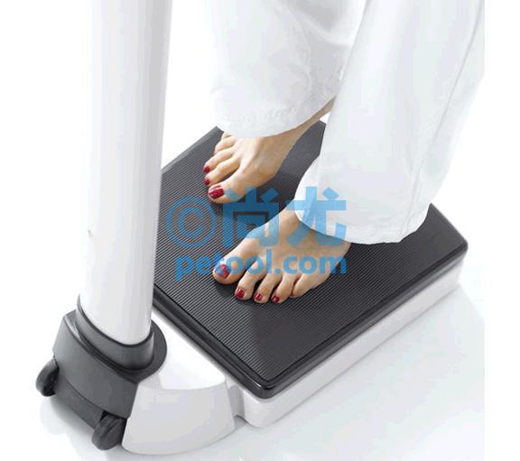 SKU:00026599,¹ӳվƬ