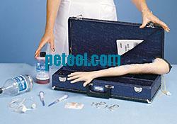 美国儿童手臂模型 Pediatric Arm